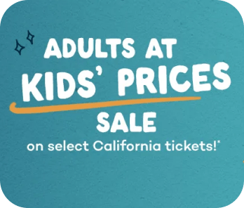 10% OFF Orlando Tickets