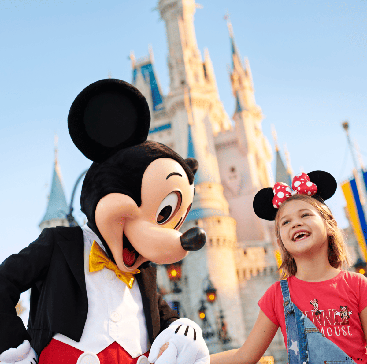 Walt Disney World