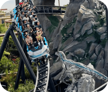 Roller Coaster