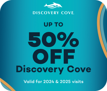 Discovery Cove