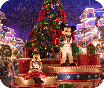 Mickey's Very Merry Christmas Party Ticket