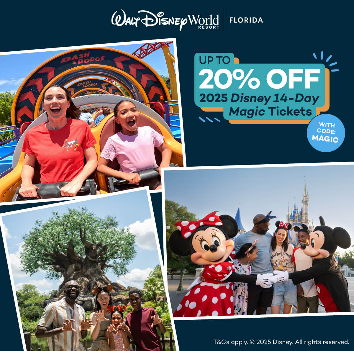 Walt Disney World