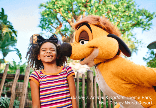 Disney 14-Day Magic Ticket