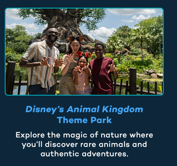 Disney's Animal Kingdom Theme Park