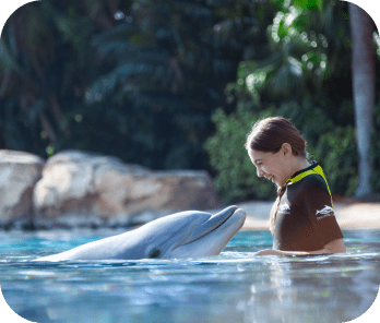 Discovery Cove Ultimate Package