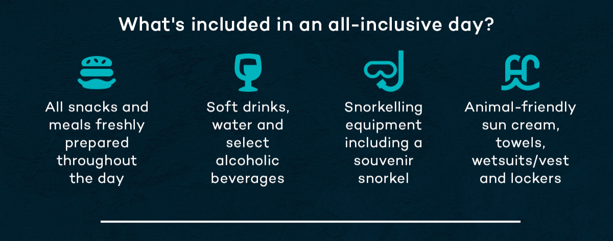 What's included in an all-day inclusive offer?