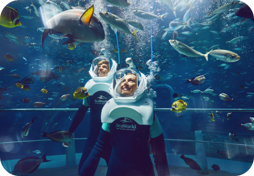 SeaWorld®