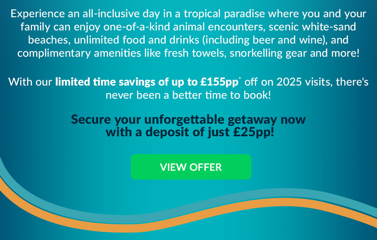 View Offer