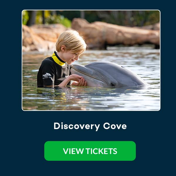 Discovery Cove