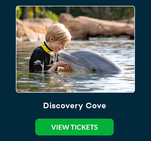 Discovery Cove