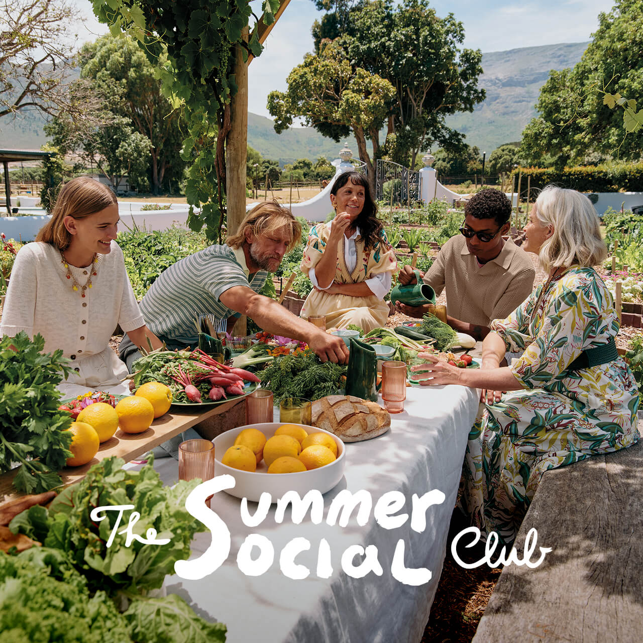 The Summer Social Club