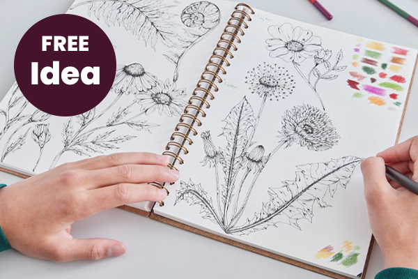 How to Draw Botanical Illustrations with a Fineliner Image