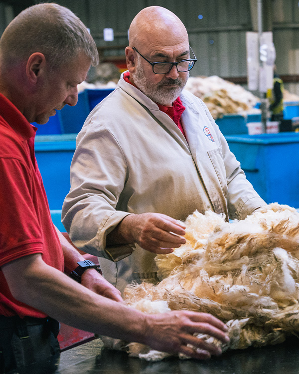 Maker's stories - Wool