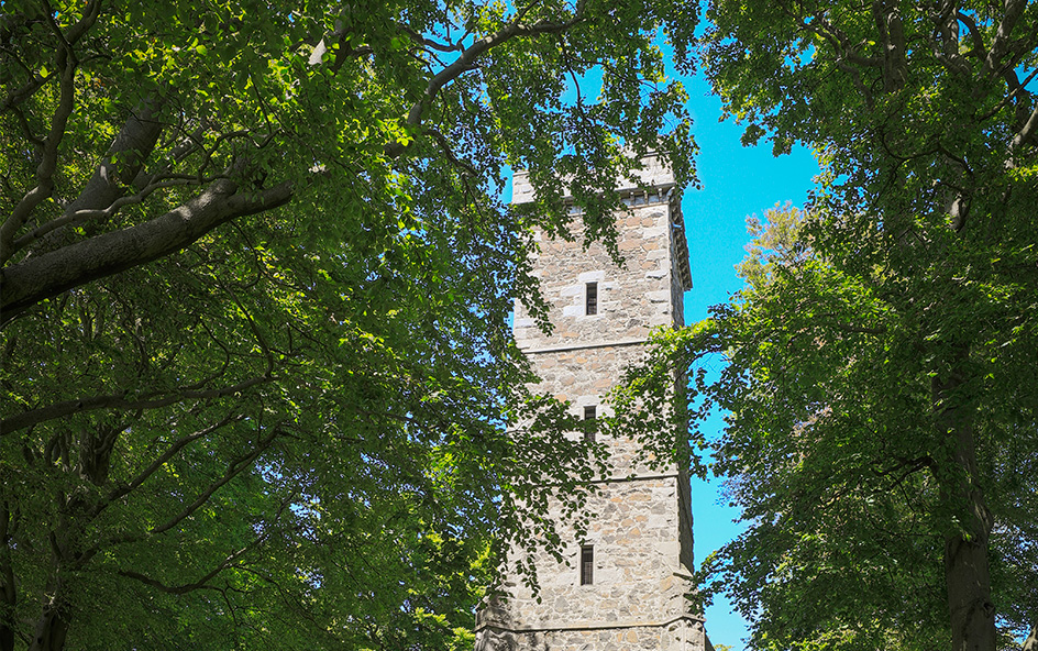 Tower in the trees