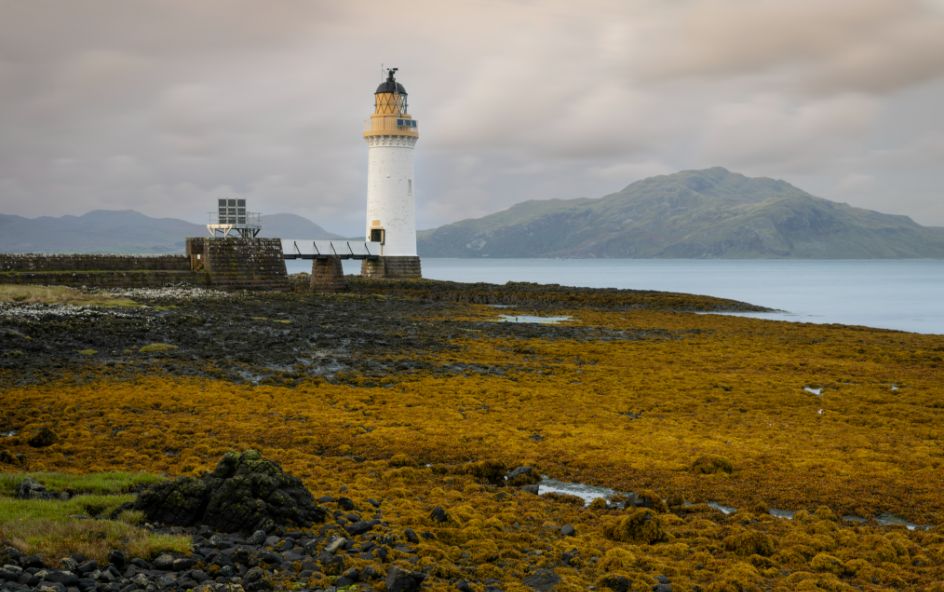 A lighthouse on a rocky shore