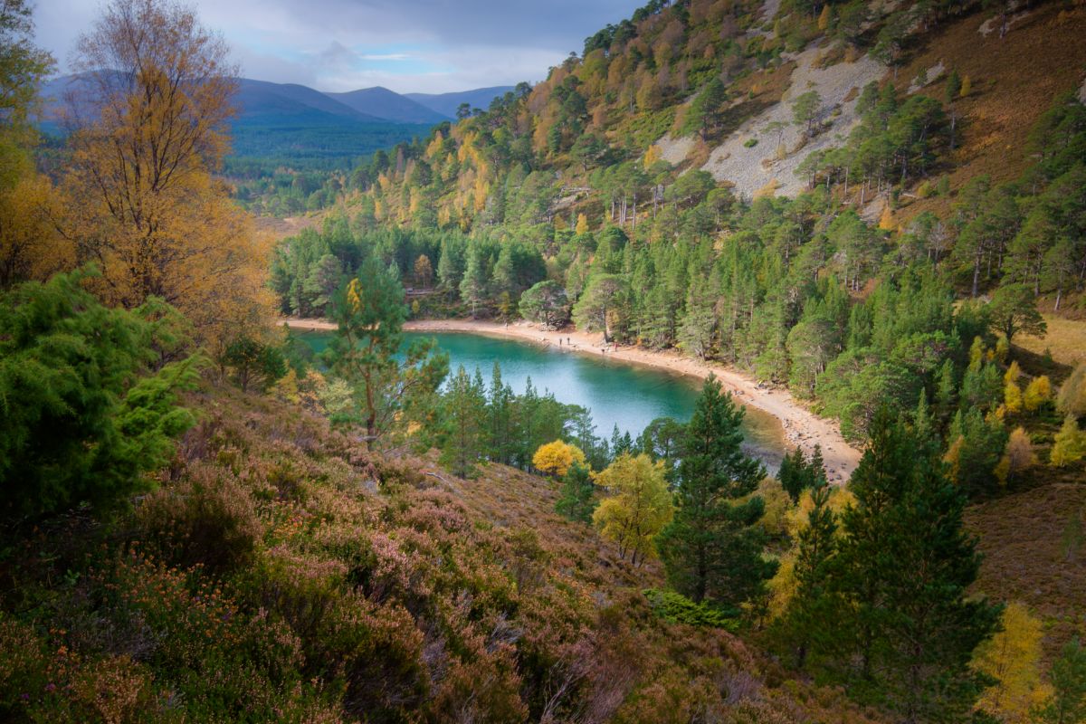 A green river surrounded by autumn trees