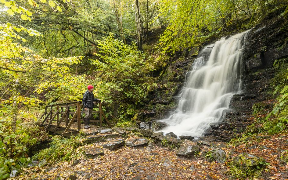 A person wearing a red hat standing on a wooden bridge next to a cascading waterfall surrounded by lush green foliage.