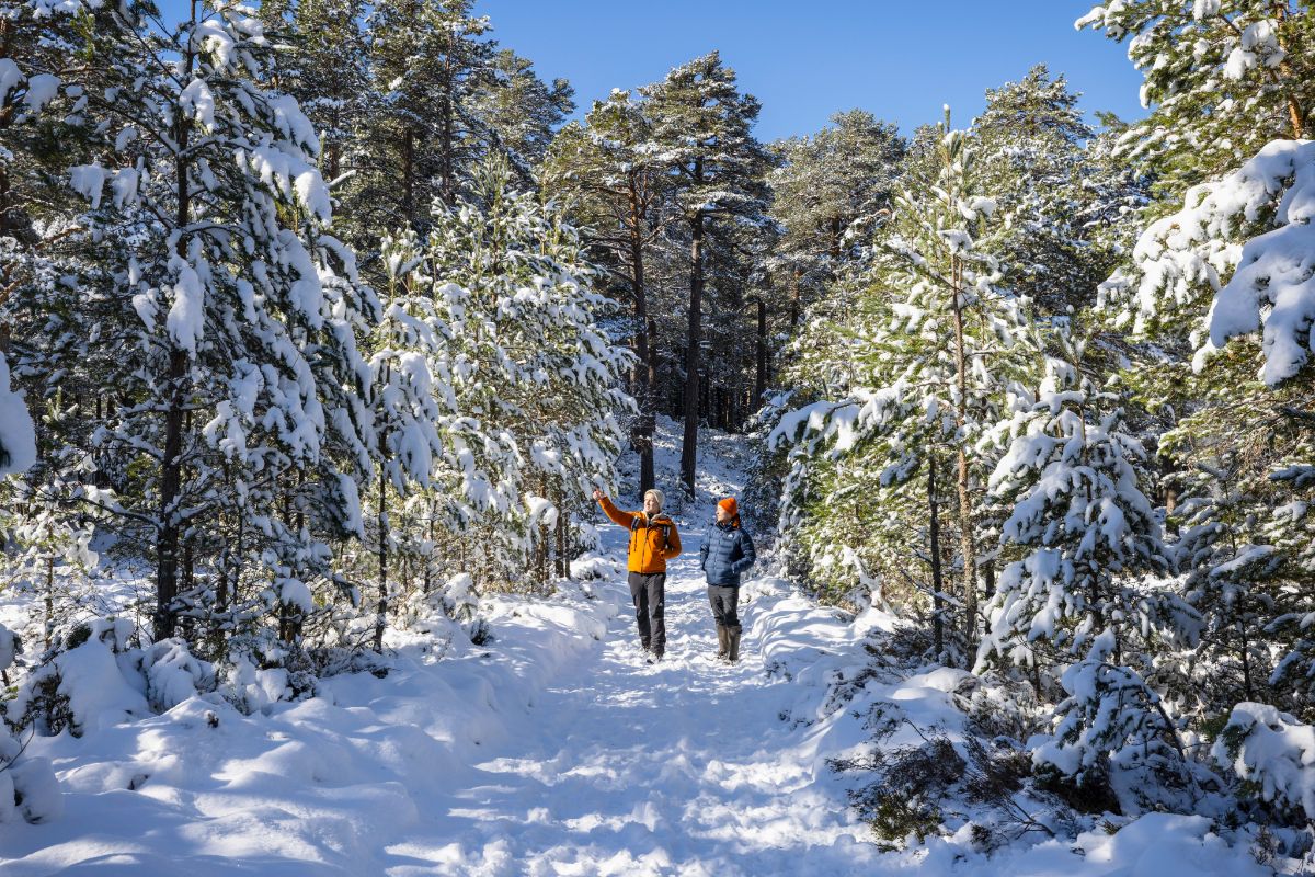 Two people walking in the snow