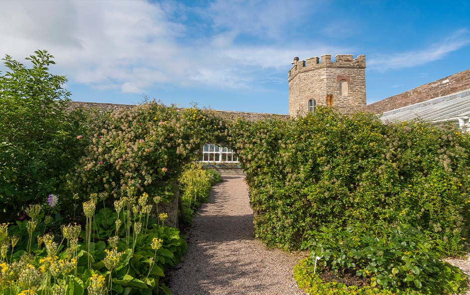green gardens with a castle turret showing behind