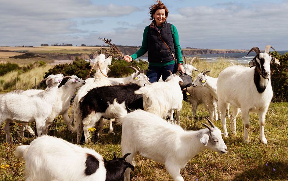 Girl with goats