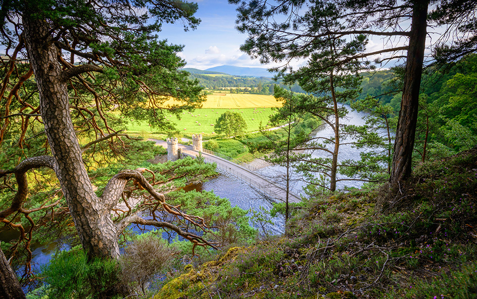Winding river with bridge