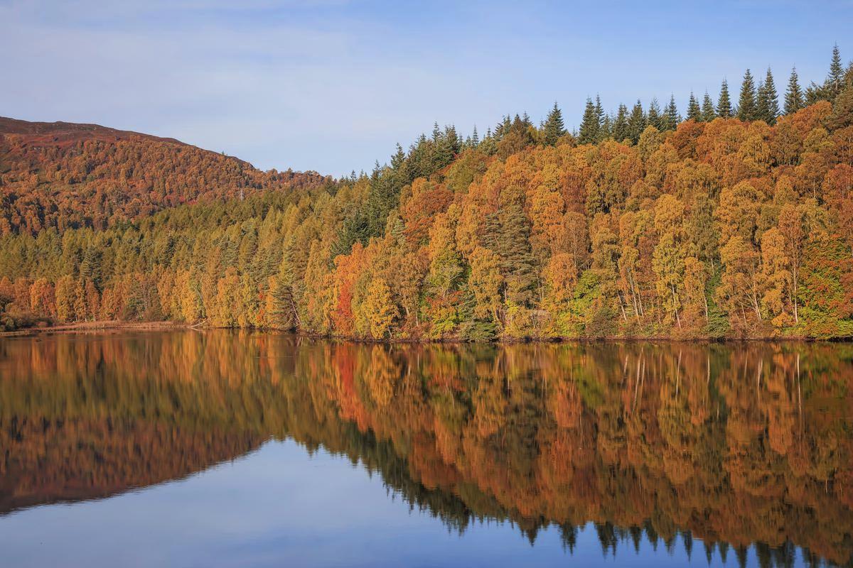 Autumn woodland against calm waters