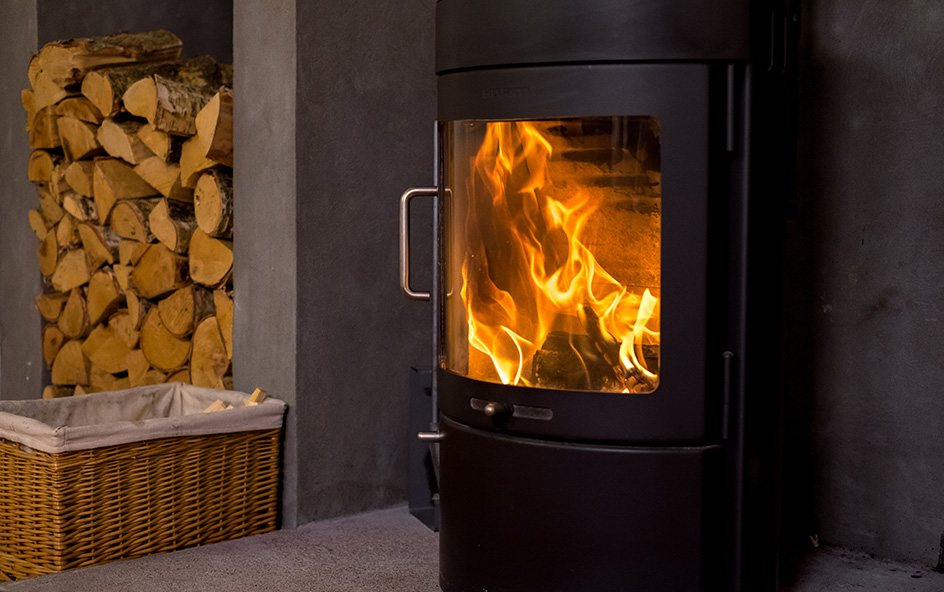 Black labrador with log fire