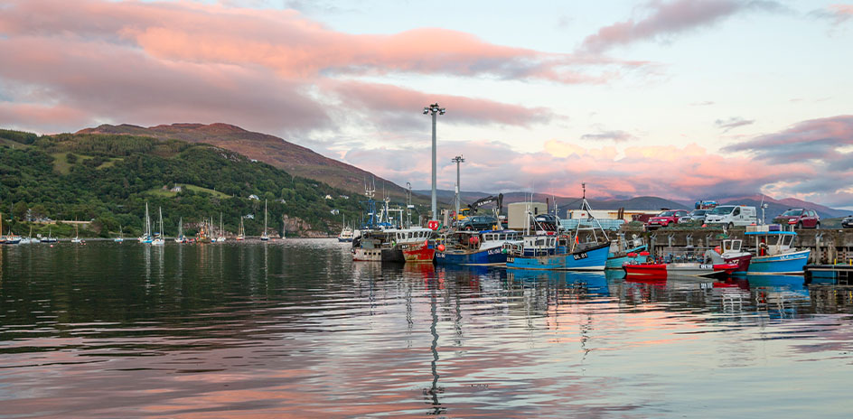 boats moored at in a harbour, with green hills in the background