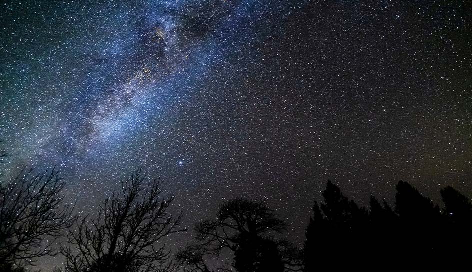 looking up towards a very starry sky