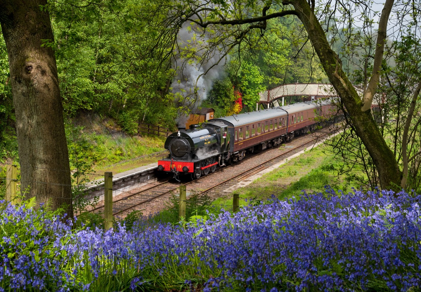 A train on the tracks