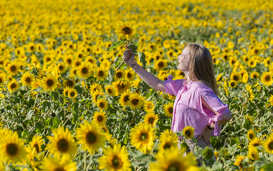 Girl in yellow sunflower field.