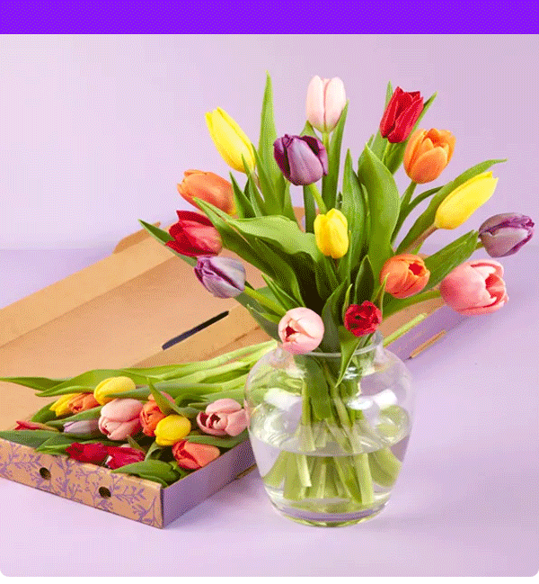 Brighten their day with Spring Flowers