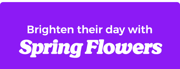 Brighten their day with Spring Flowers
