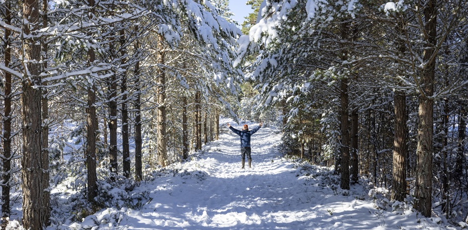 Glenmore Forest Park, Cairngorms National Park. © VisitScotland