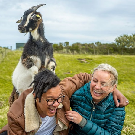 Lunan Bay Farm, Angus. © VisitScotland / Luigi Di Pasquale