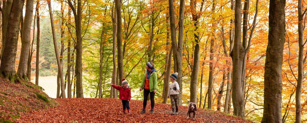 A family enjoying autumn on Kinnoull Hill, Perthshire. © VisitScotland / Kenny Lam