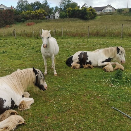 © Eat Sleep Ride, Scottish Borders