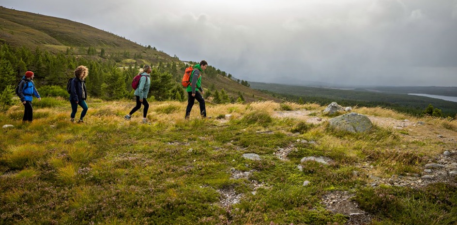 Cairngorms National Park. © VisitScotland / Luigi Di Pasquale