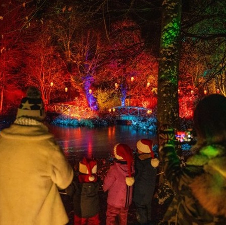 Illuminations at Monteviot Winter Light Trail. © Monteviot Gardens