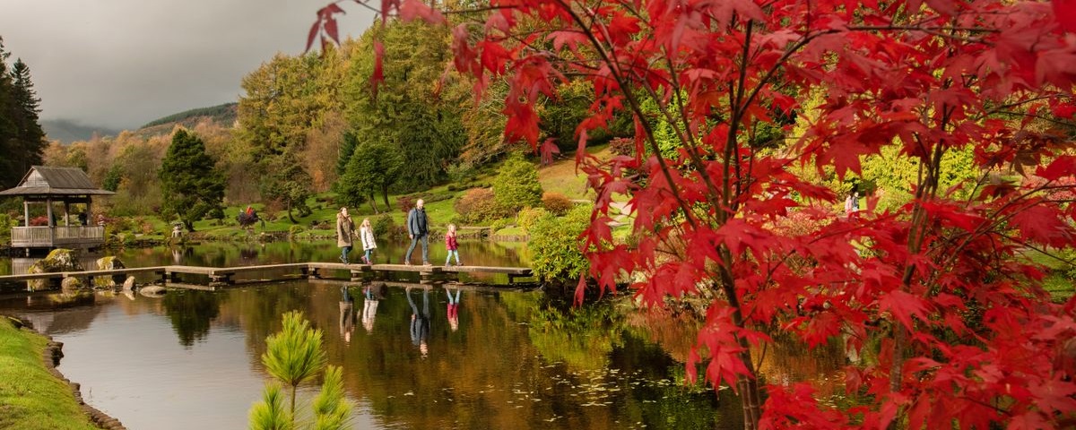 The Japanese Garden at Cowden, Forth Valley. Credit Discover Scottish Gardens / Julie Howden