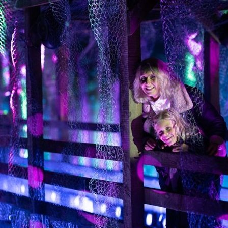 The Enchanted Forest 2025. © Roberto Ricciuti