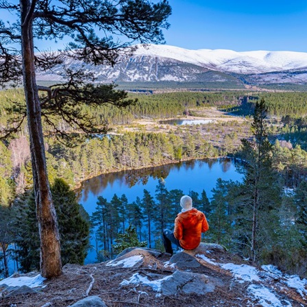 Uath Lochans in Badenoch, Kingussie. © VisitScotland Kenny Lam