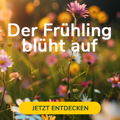 Der Frühling blüht auf