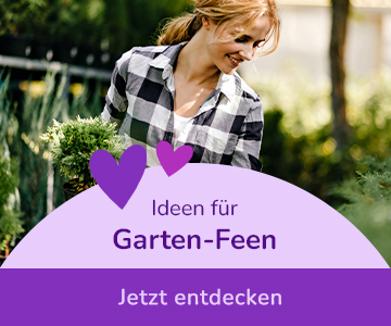 Gartenprodukte entdecken
