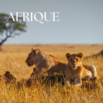 Afrique