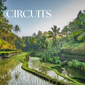Circuits