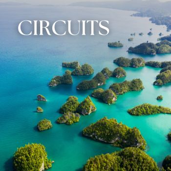 Circuits
