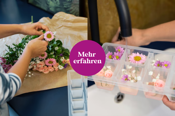 Zur