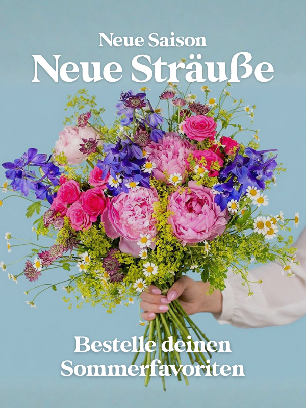 Jetzt