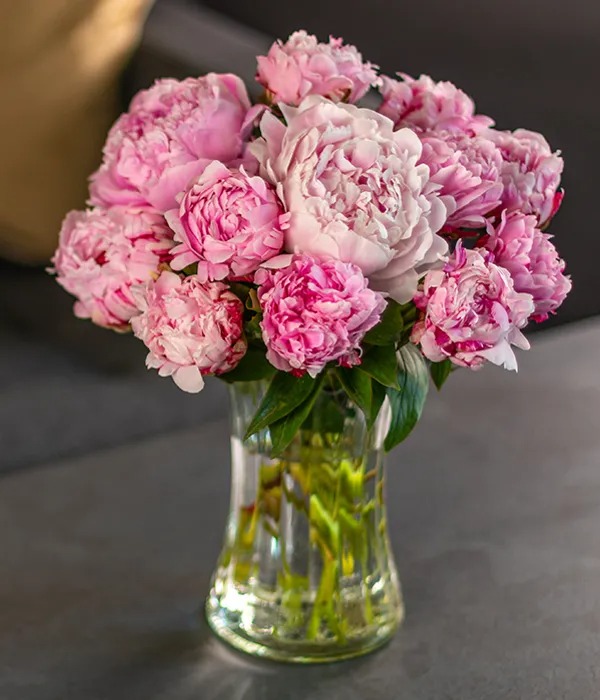 Peonies